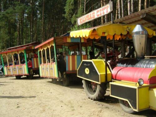 orginalP9170504